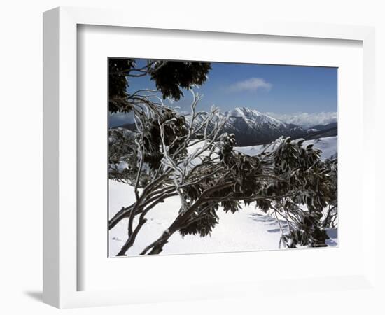 Winter Landscape of Mountains Seen Through Snow-Covered Tree Branches, High Country, Australia-Richard Nebesky-Framed Photographic Print