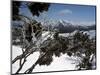 Winter Landscape of Mountains Seen Through Snow-Covered Tree Branches, High Country, Australia-Richard Nebesky-Mounted Photographic Print