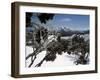 Winter Landscape of Mountains Seen Through Snow-Covered Tree Branches, High Country, Australia-Richard Nebesky-Framed Photographic Print