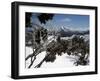 Winter Landscape of Mountains Seen Through Snow-Covered Tree Branches, High Country, Australia-Richard Nebesky-Framed Photographic Print