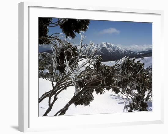Winter Landscape of Mountains Seen Through Snow-Covered Tree Branches, High Country, Australia-Richard Nebesky-Framed Photographic Print