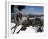 Winter Landscape of Mountains Seen Through Snow-Covered Tree Branches, High Country, Australia-Richard Nebesky-Framed Photographic Print