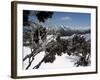 Winter Landscape of Mountains Seen Through Snow-Covered Tree Branches, High Country, Australia-Richard Nebesky-Framed Photographic Print