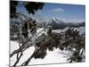 Winter Landscape of Mountains Seen Through Snow-Covered Tree Branches, High Country, Australia-Richard Nebesky-Mounted Photographic Print