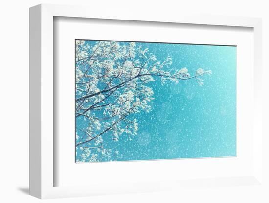 Winter Landscape of Snowy Tree Branches against Colorful Sky during the Snowfall with Free Space Fo-Marina Zezelina-Framed Photographic Print