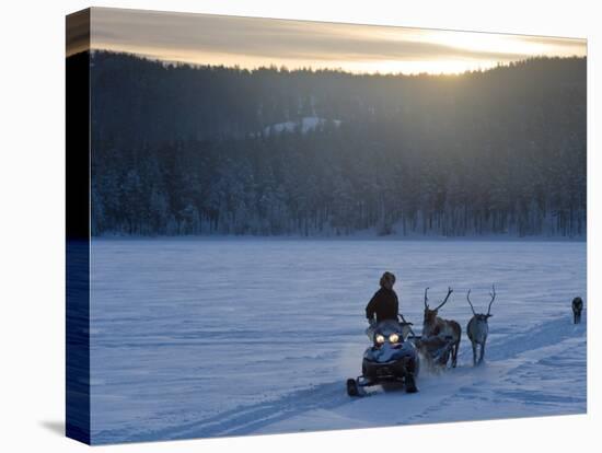 Winter Landscape, Reindeer and Snowmobile, Jokkmokk, Sweden-Peter Adams-Stretched Canvas