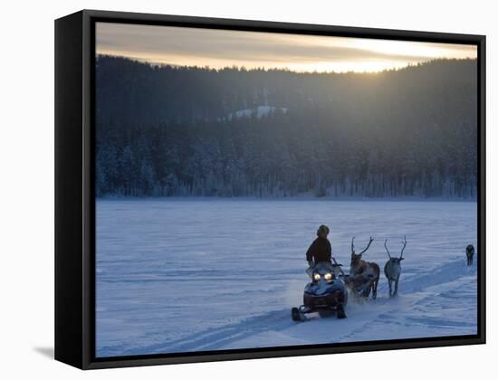 Winter Landscape, Reindeer and Snowmobile, Jokkmokk, Sweden-Peter Adams-Framed Stretched Canvas