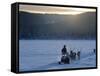 Winter Landscape, Reindeer and Snowmobile, Jokkmokk, Sweden-Peter Adams-Framed Stretched Canvas