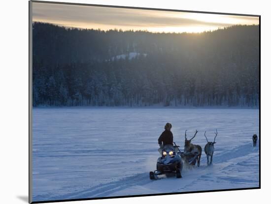 Winter Landscape, Reindeer and Snowmobile, Jokkmokk, Sweden-Peter Adams-Mounted Photographic Print