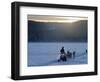 Winter Landscape, Reindeer and Snowmobile, Jokkmokk, Sweden-Peter Adams-Framed Photographic Print