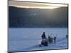 Winter Landscape, Reindeer and Snowmobile, Jokkmokk, Sweden-Peter Adams-Mounted Photographic Print