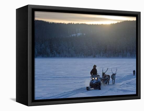 Winter Landscape, Reindeer and Snowmobile, Jokkmokk, Sweden-Peter Adams-Framed Stretched Canvas