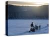 Winter Landscape, Reindeer and Snowmobile, Jokkmokk, Sweden-Peter Adams-Stretched Canvas