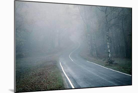 Winter Landscape Rural Scene with Woodland and Road-David Baker-Mounted Photographic Print