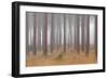 Winter Landscape Rural Scene with Woodland-David Baker-Framed Photographic Print