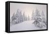 Winter Landscape, Trees, Snow-Covered Series, Nature, Vegetation-Roland T.-Framed Stretched Canvas