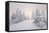 Winter Landscape, Trees, Snow-Covered Series, Nature, Vegetation-Roland T.-Framed Stretched Canvas
