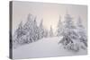 Winter Landscape, Trees, Snow-Covered Series, Nature, Vegetation-Roland T.-Stretched Canvas