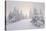Winter Landscape, Trees, Snow-Covered Series, Nature, Vegetation-Roland T.-Stretched Canvas