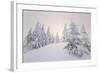 Winter Landscape, Trees, Snow-Covered Series, Nature, Vegetation-Roland T.-Framed Photographic Print