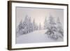 Winter Landscape, Trees, Snow-Covered Series, Nature, Vegetation-Roland T.-Framed Photographic Print