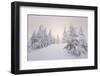 Winter Landscape, Trees, Snow-Covered Series, Nature, Vegetation-Roland T.-Framed Photographic Print