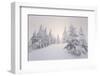 Winter Landscape, Trees, Snow-Covered Series, Nature, Vegetation-Roland T.-Framed Photographic Print