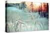 Winter Landscape.Winter Scene .Frozenned Flower-Fanfo-Stretched Canvas