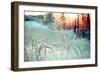 Winter Landscape.Winter Scene .Frozenned Flower-Fanfo-Framed Photographic Print