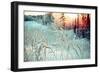 Winter Landscape.Winter Scene .Frozenned Flower-Fanfo-Framed Photographic Print