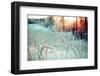 Winter Landscape.Winter Scene .Frozenned Flower-Fanfo-Framed Photographic Print