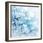 Winter Landscape.Winter Scene .Frozenned Flower-null-Framed Photographic Print