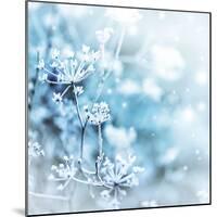 Winter Landscape.Winter Scene .Frozenned Flower-null-Mounted Photographic Print