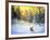Winter Landscape With A Fox On A Decline-balaikin2009-Framed Art Print