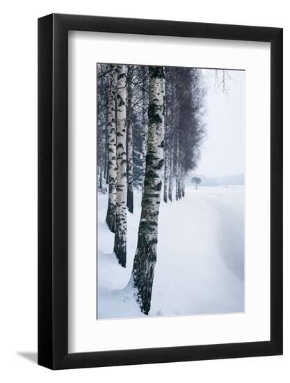Photo, , large
