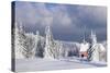 Winter Landscape with Church, Kandel Mountain, Black Forest, Baden-Wurttemberg, Germany, Europe-Markus Lange-Stretched Canvas