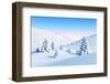 Winter Landscape with Fir Trees, Rendering-auris-Framed Photographic Print