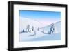 Winter Landscape with Fir Trees, Rendering-auris-Framed Photographic Print