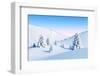 Winter Landscape with Fir Trees, Rendering-auris-Framed Photographic Print