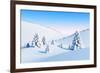 Winter Landscape with Fir Trees, Rendering-auris-Framed Photographic Print