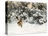 Winter Landscape with Fox and Hounds-Bruno Liljefors-Stretched Canvas