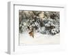 Winter Landscape with Fox and Hounds-Bruno Liljefors-Framed Giclee Print