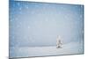 Winter Landscape with Snow-Covered Fir-Tree in a Lonely Mountain Valley. Christmas Theme with Snowf-Kotenko-Mounted Photographic Print