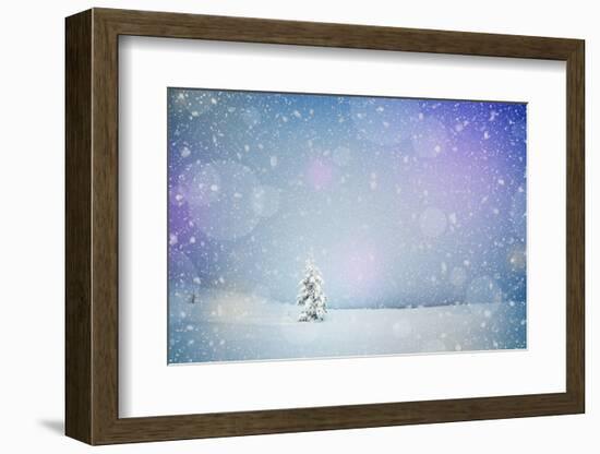 Winter Landscape with Snow-Covered Fir-Tree in a Lonely Mountain Valley. Christmas Theme with Snowf-Kotenko-Framed Photographic Print