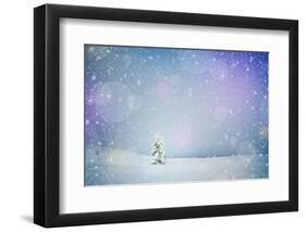 Winter Landscape with Snow-Covered Fir-Tree in a Lonely Mountain Valley. Christmas Theme with Snowf-Kotenko-Framed Photographic Print