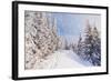 Winter Landscape with Snow Drifts and a Footpath in a Mountain Forest. Forest after a Snow Storm-Kotenko-Framed Photographic Print