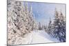 Winter Landscape with Snow Drifts and a Footpath in a Mountain Forest. Forest after a Snow Storm-Kotenko-Mounted Photographic Print