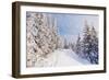 Winter Landscape with Snow Drifts and a Footpath in a Mountain Forest. Forest after a Snow Storm-Kotenko-Framed Photographic Print