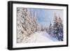 Winter Landscape with Snow Drifts and a Footpath in a Mountain Forest. Forest after a Snow Storm-Kotenko-Framed Photographic Print