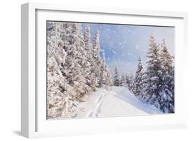 Winter Landscape with Snow Drifts and a Footpath in a Mountain Forest. Forest after a Snow Storm-Kotenko-Framed Photographic Print